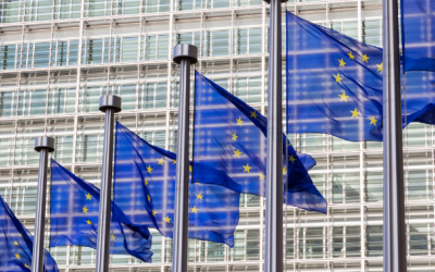 Die EU verabschiedet ihre Digitalstrategie - Digital Services Act